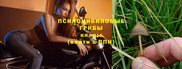 гашиш Дмитров