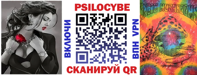 Купить где  Электросталь  Псилоцибиновые грибы Psilocybe 